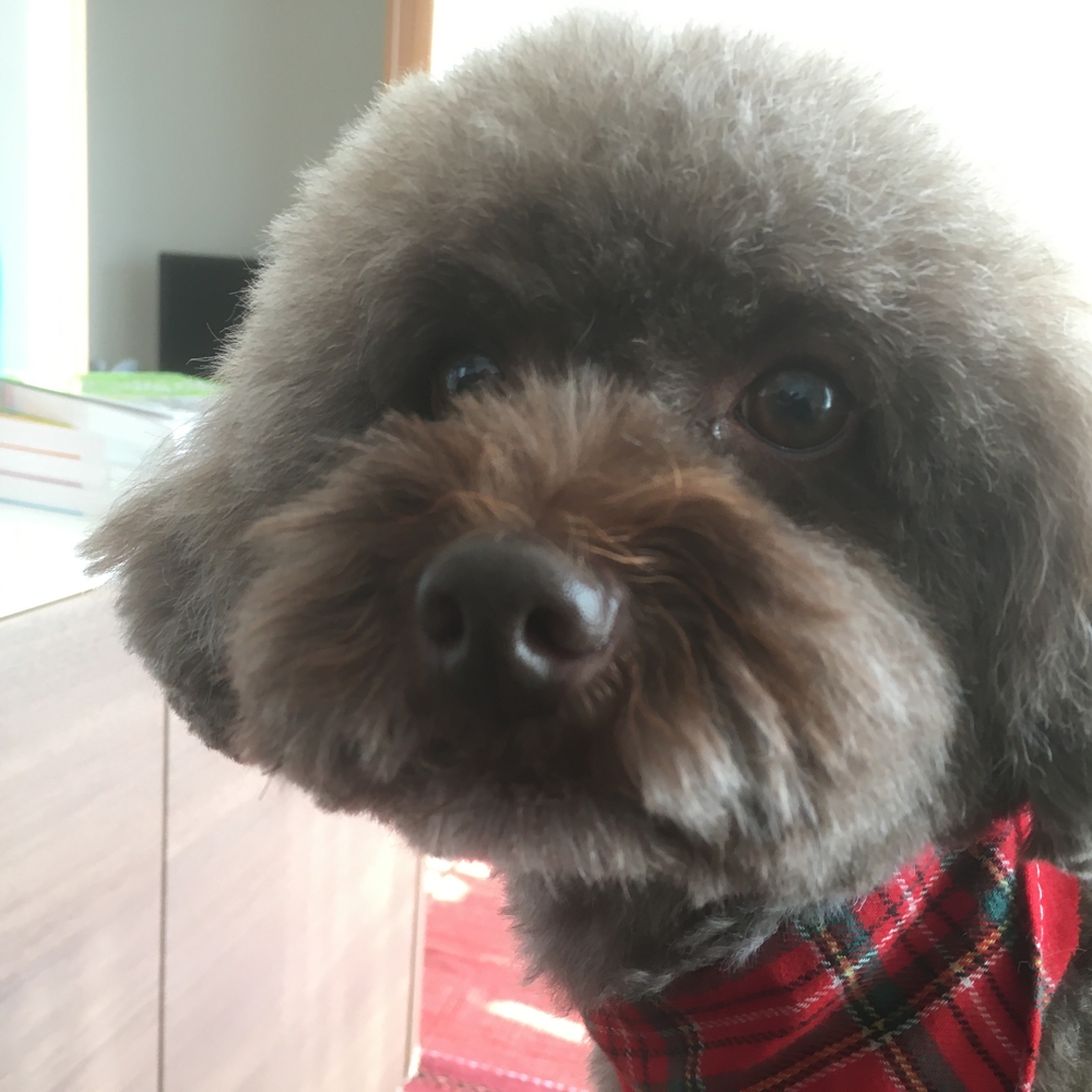 マロン☆ジャム