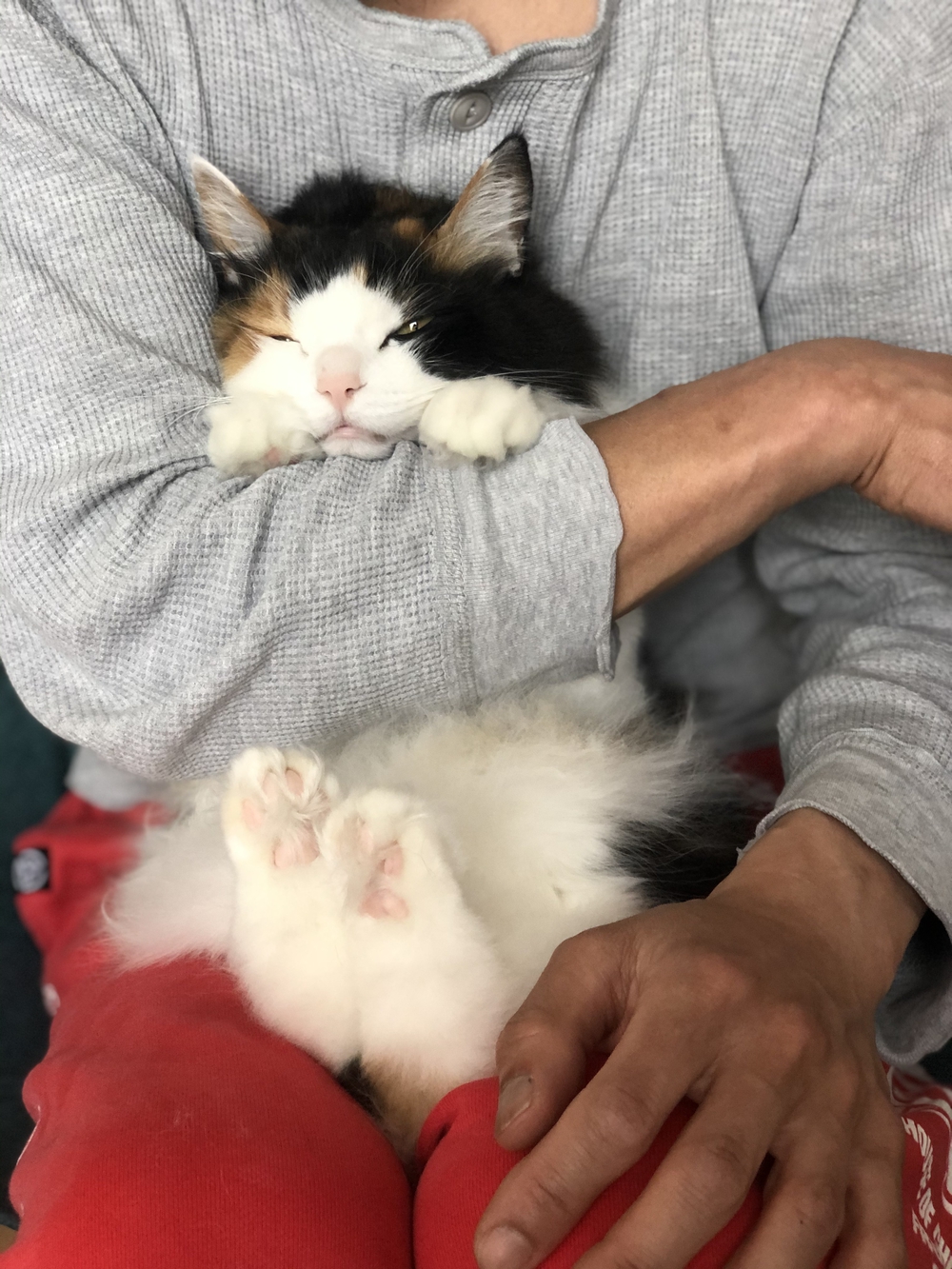 プロフィール画像