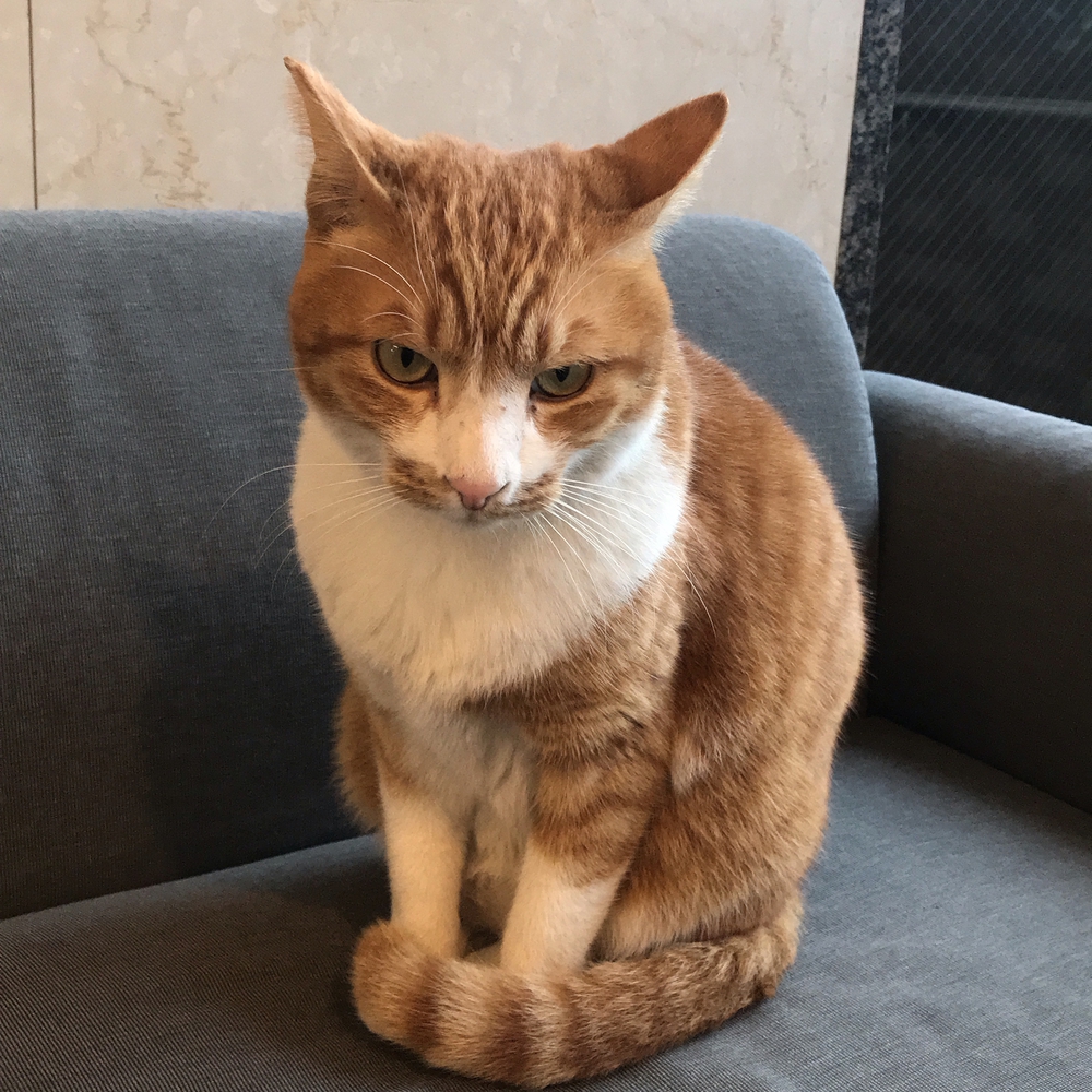 プロフィール画像