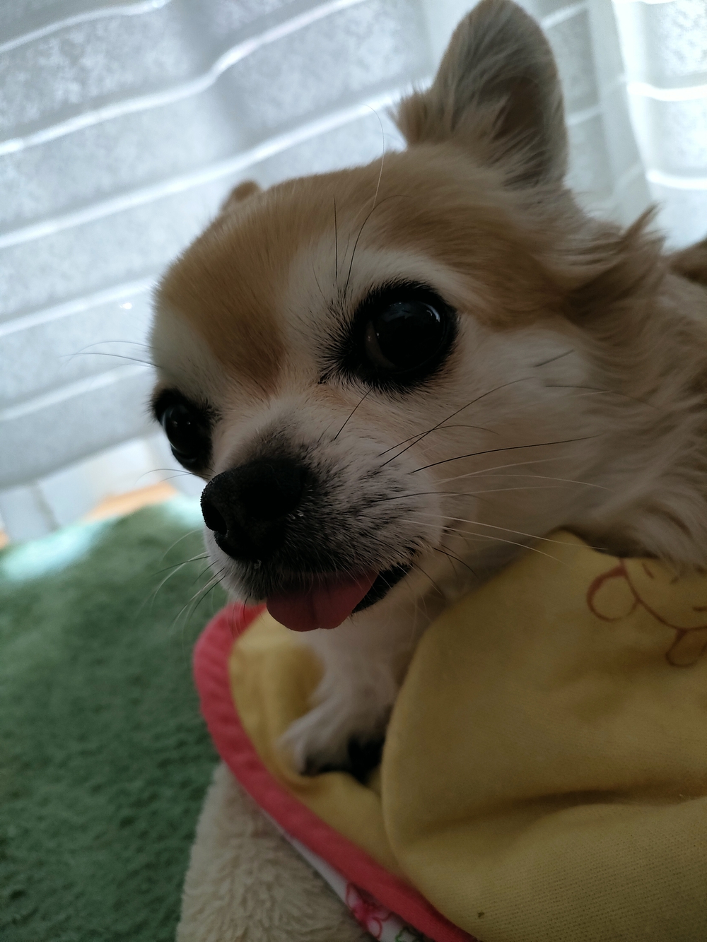 プロフィール画像