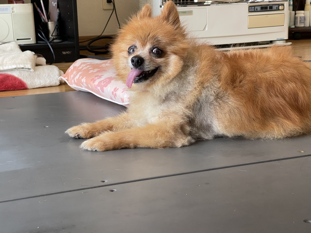 プロフィール画像