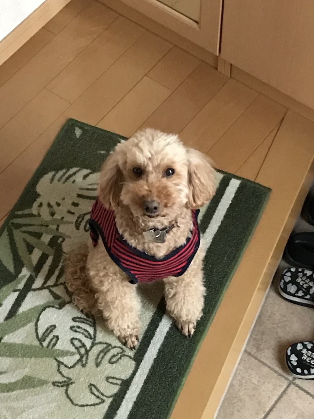 プロフィール画像