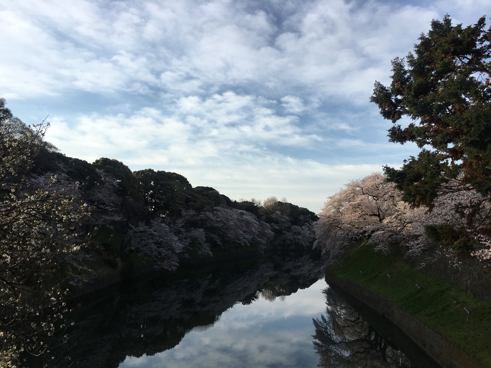 KURI Taku