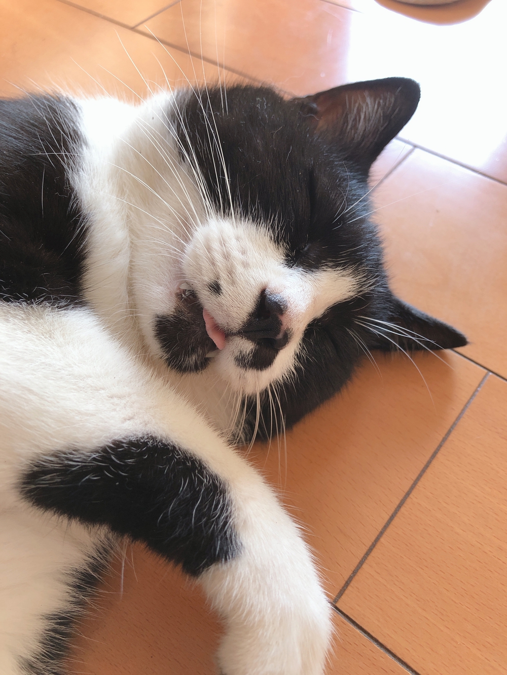 プロフィール画像