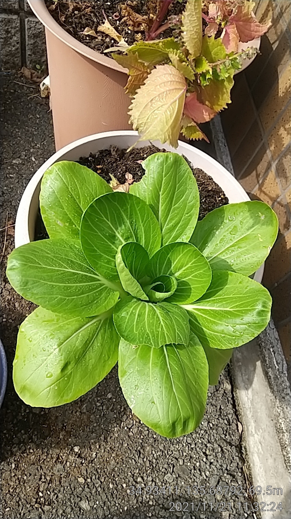 プロフィール画像