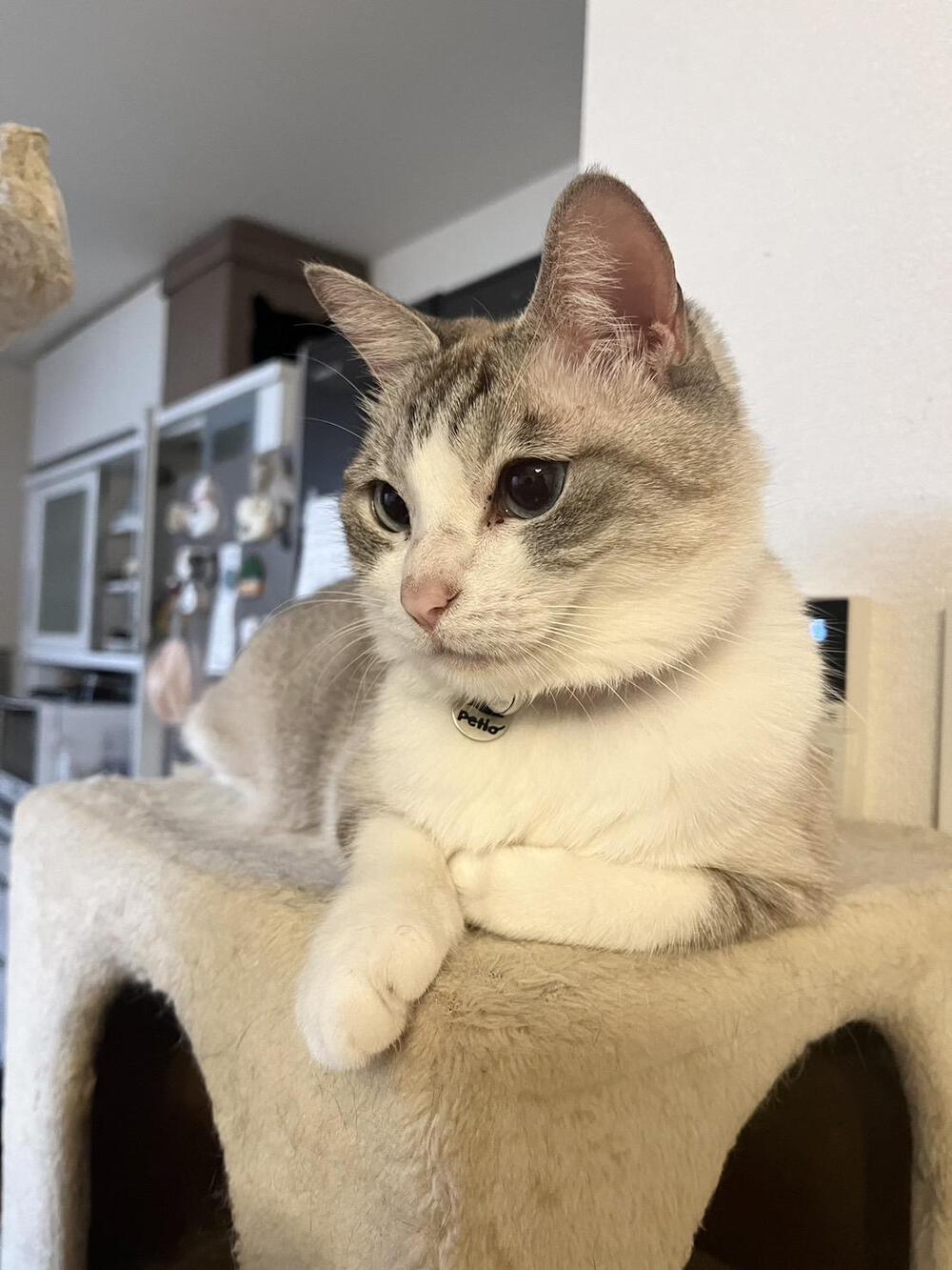 むゆきてとえまわるみ