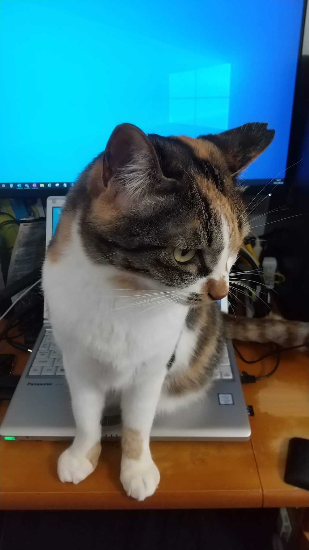 プロフィール画像