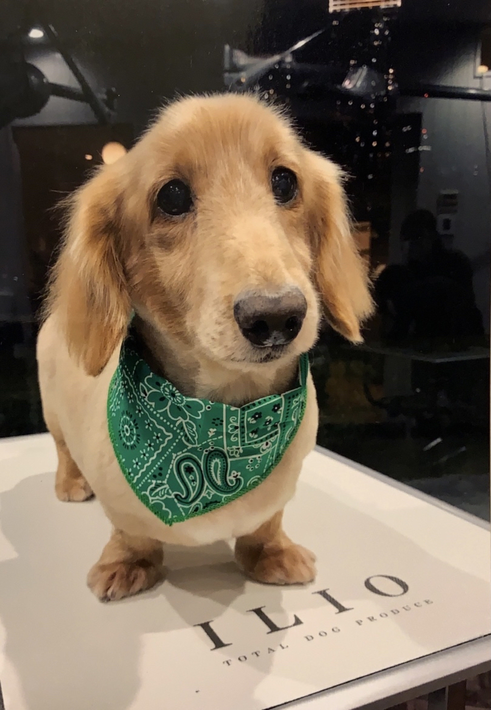 プロフィール画像