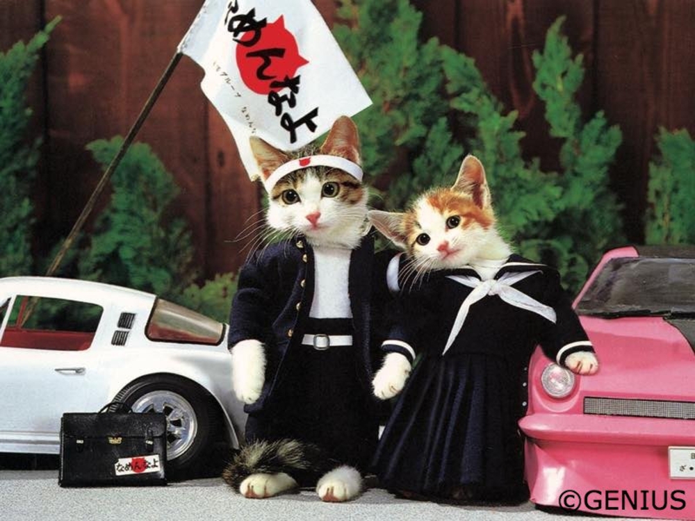 プロフィール画像