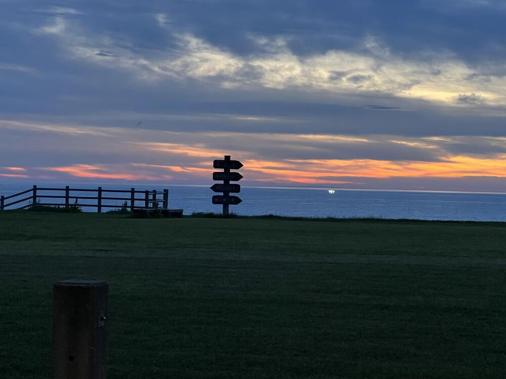 トゥルーファイブ