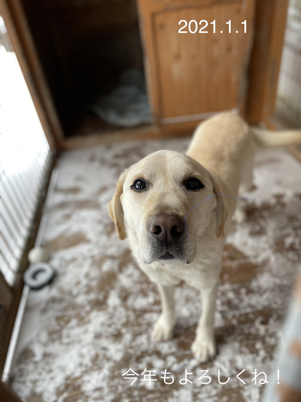 プロフィール画像