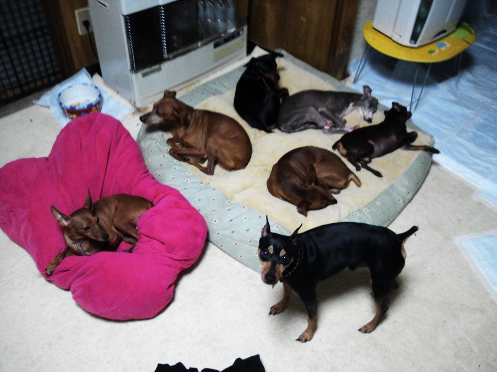 プロフィール画像