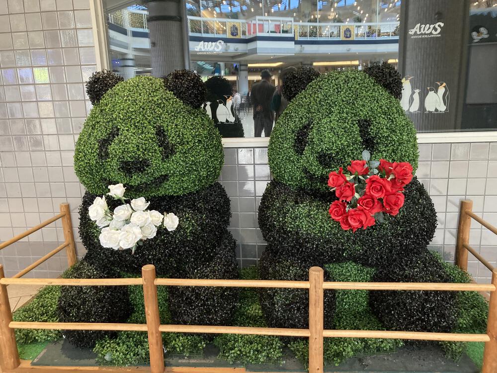 因幡の白ウサギ
