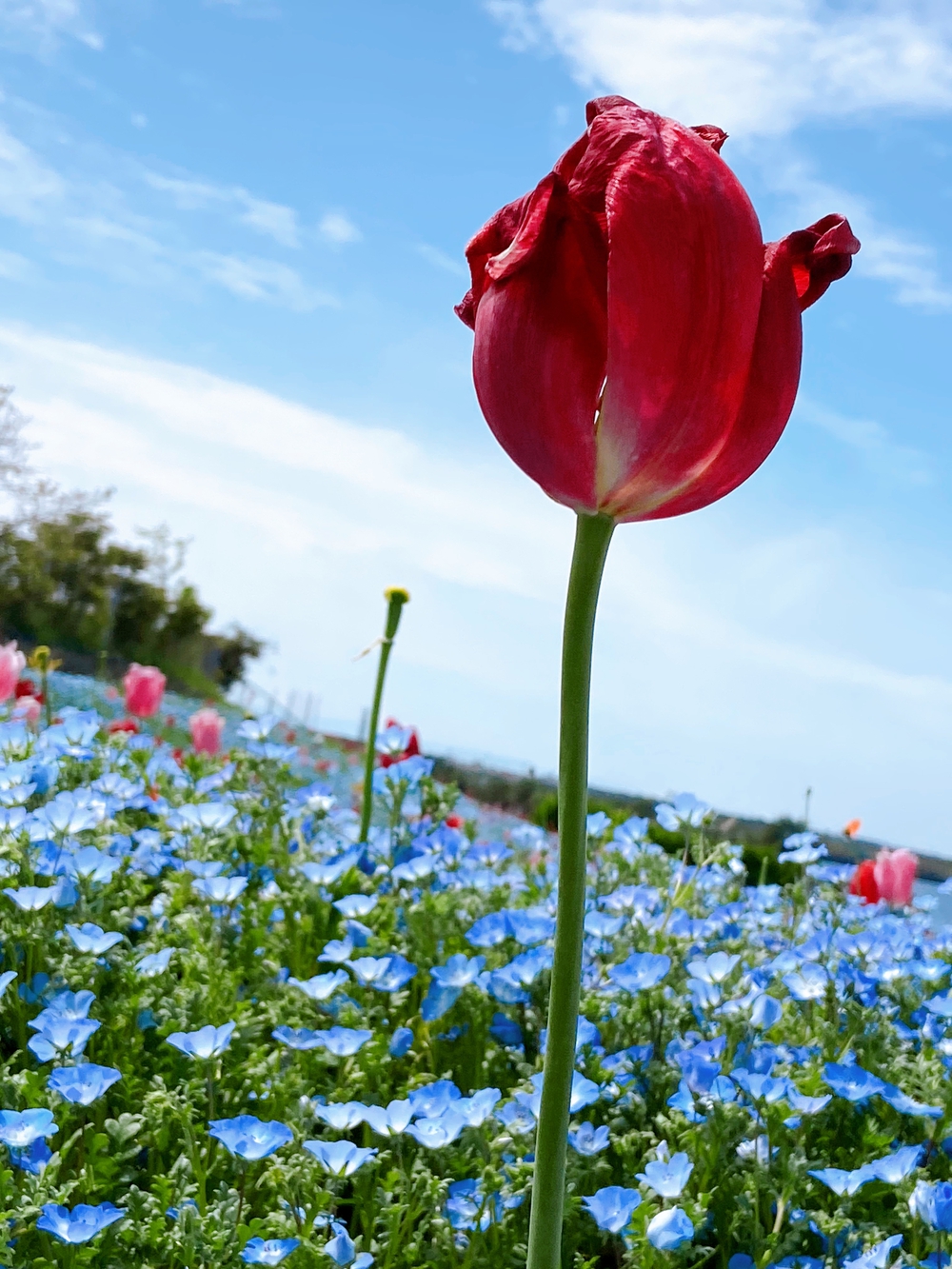 プロフィール画像