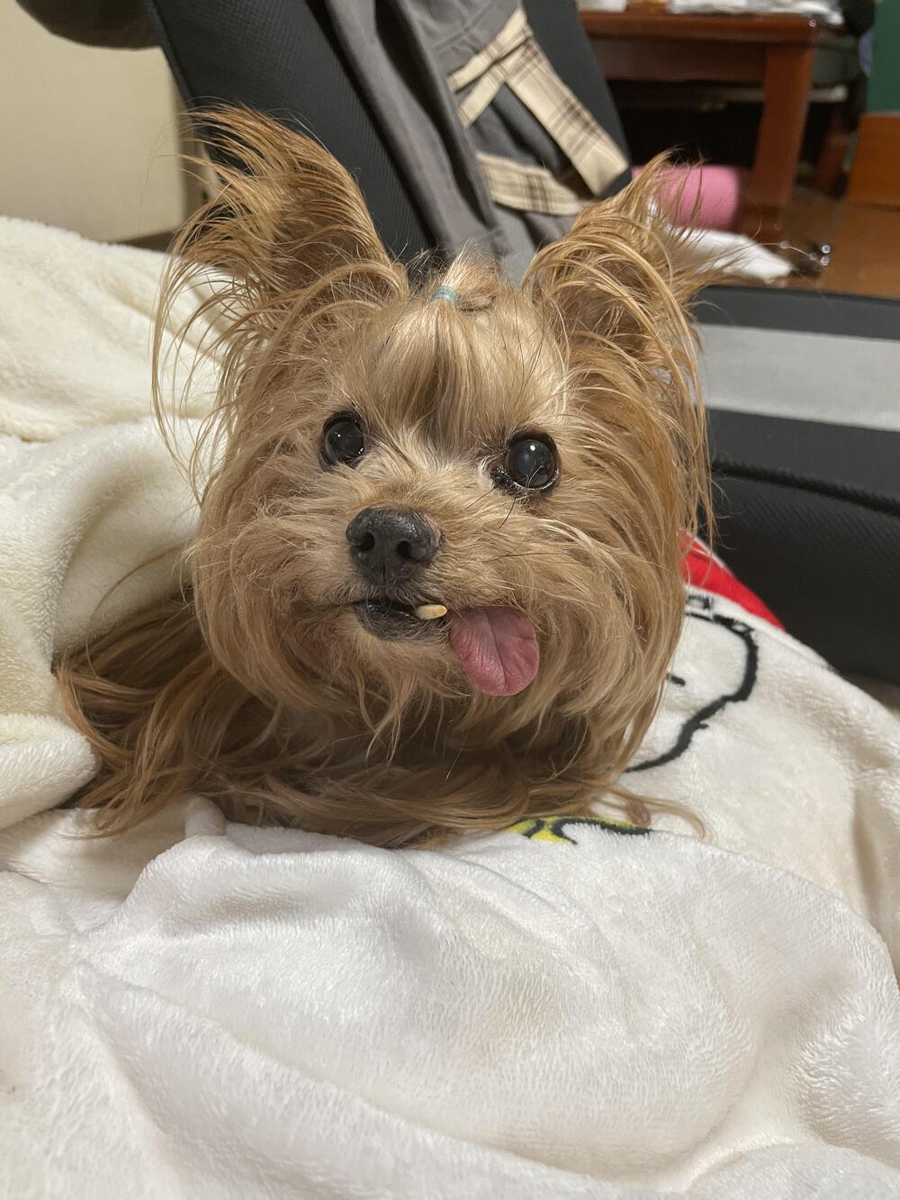 プロフィール画像