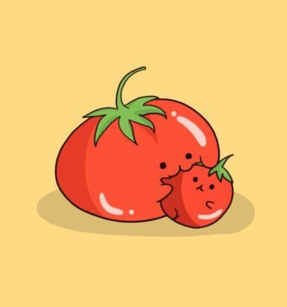 TOMATO