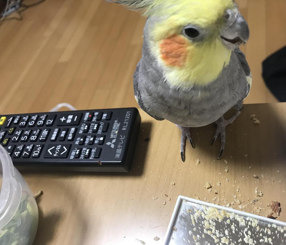 プロフィール画像