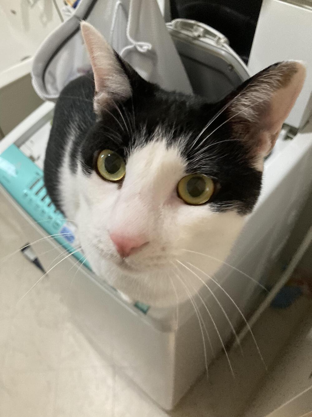 プロフィール画像