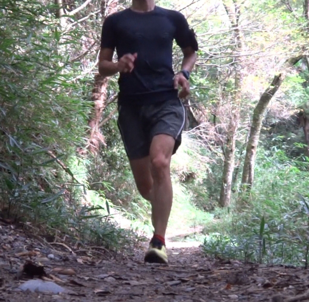 ガードナー@湘南藤沢