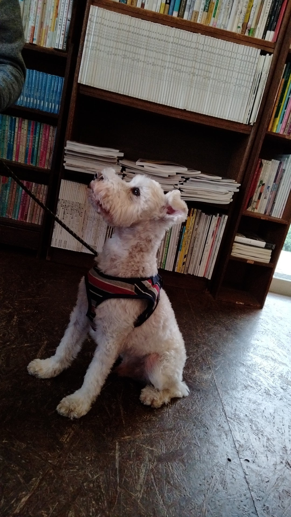 プロフィール画像