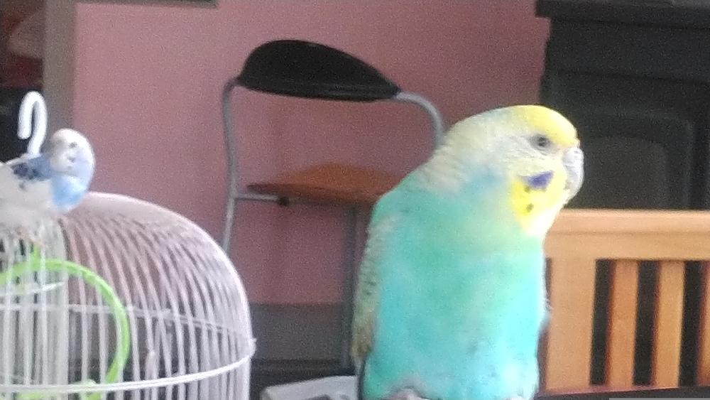 プロフィール画像