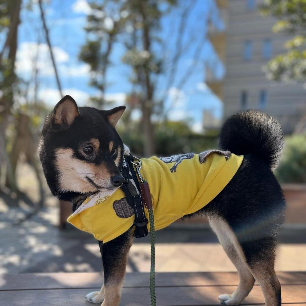 プロフィール画像