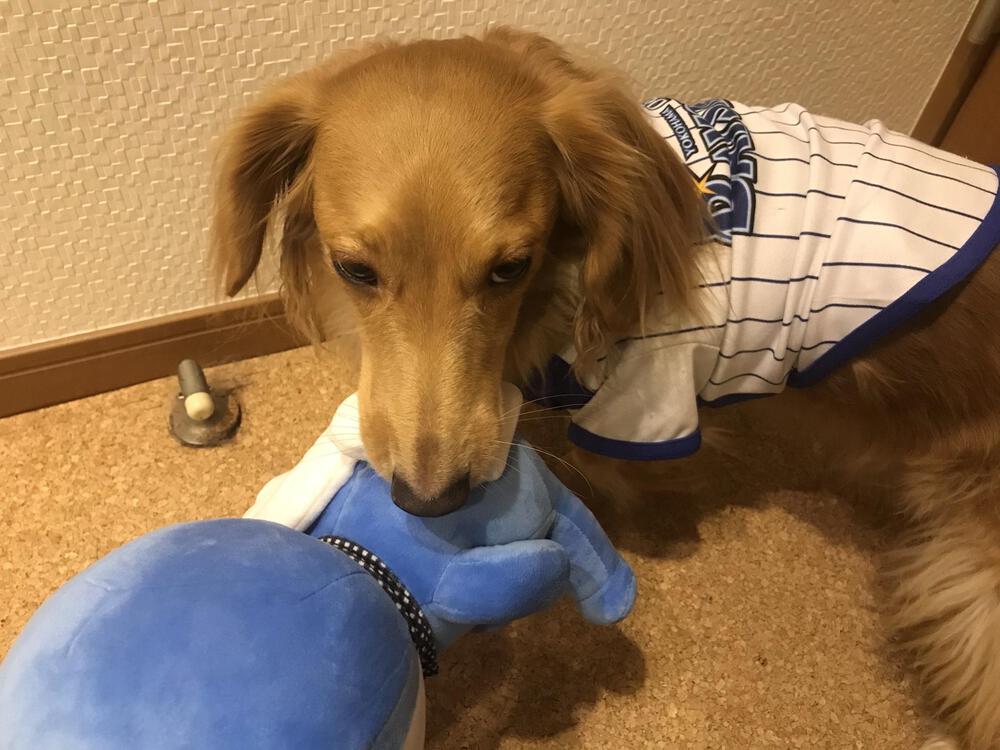 プロフィール画像