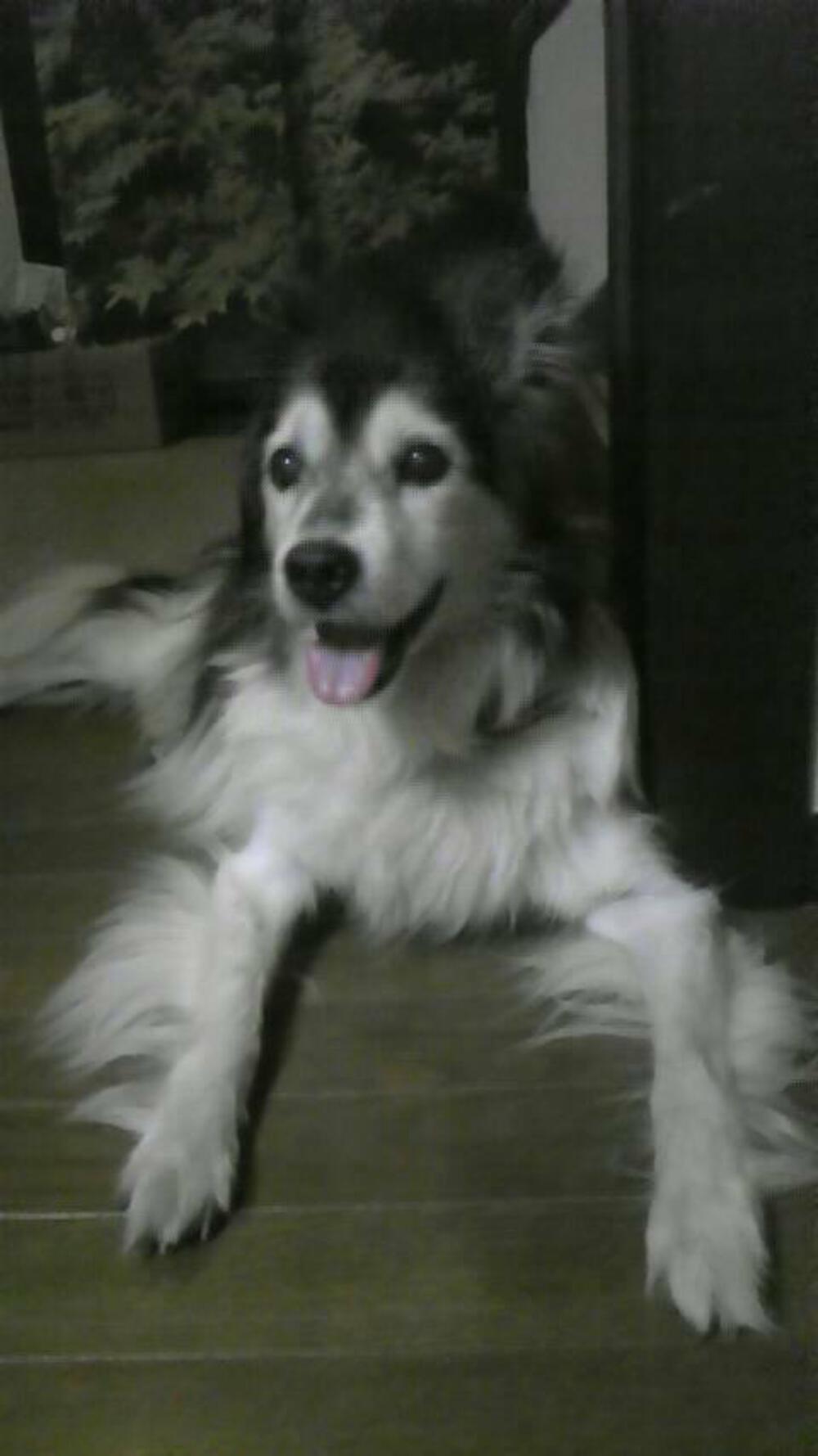 プロフィール画像