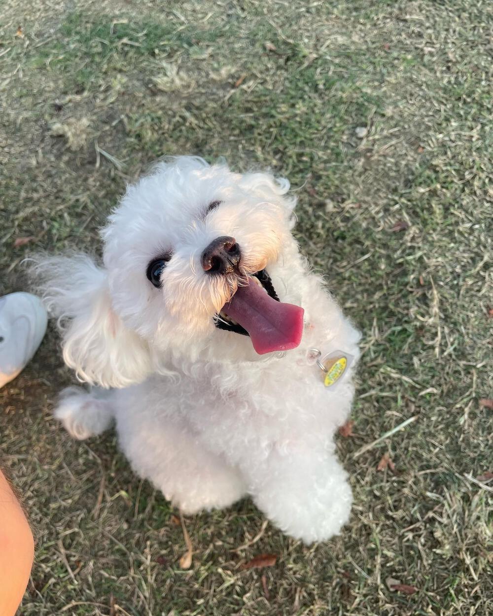 プロフィール画像