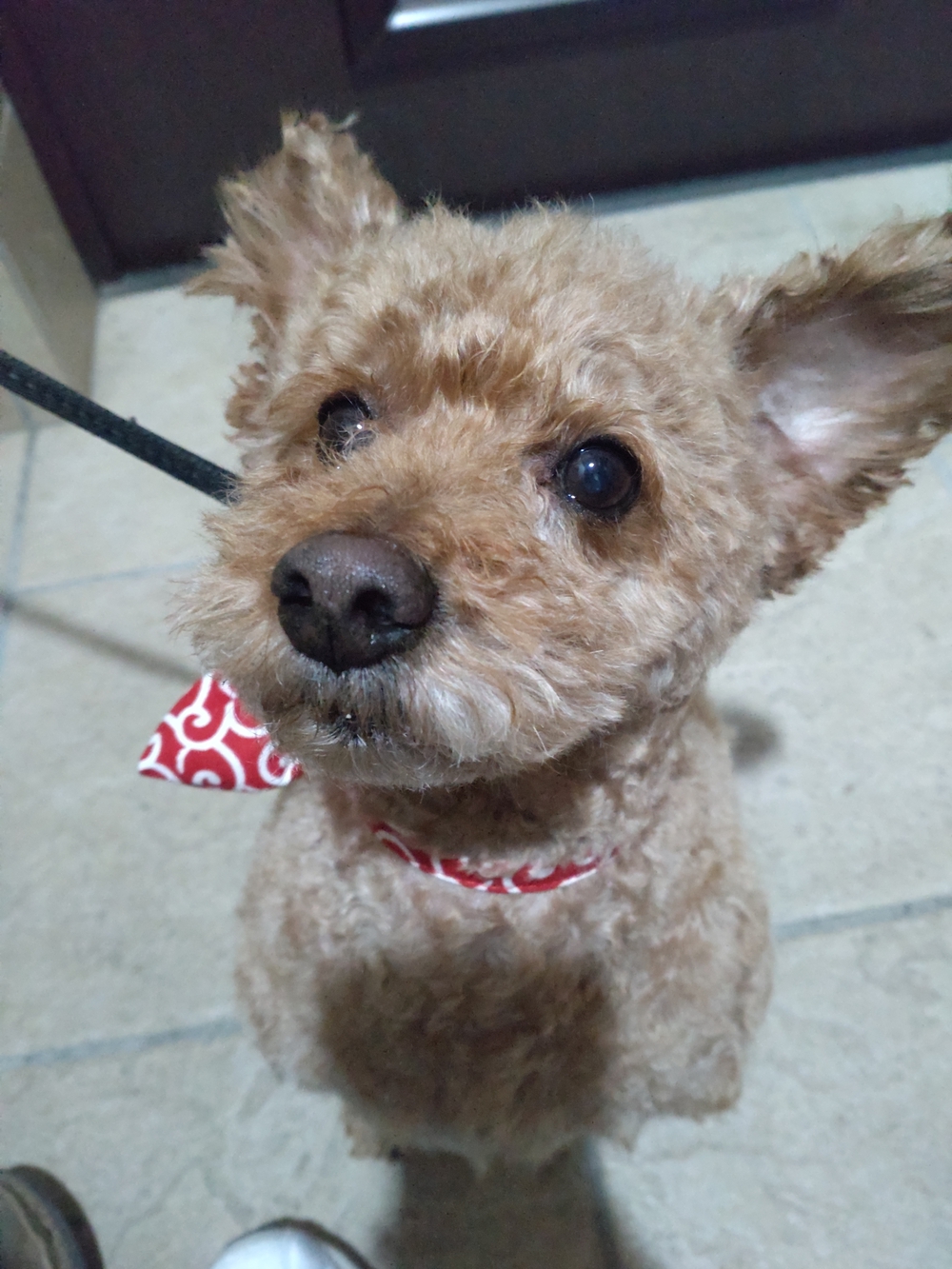 プロフィール画像