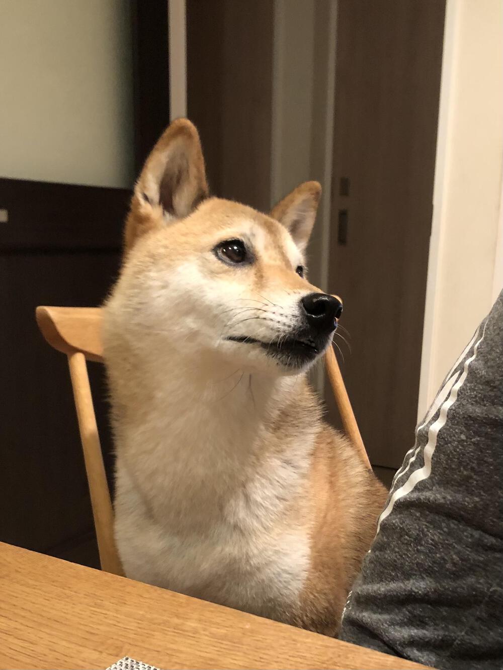 shinyahyakutakeboiling