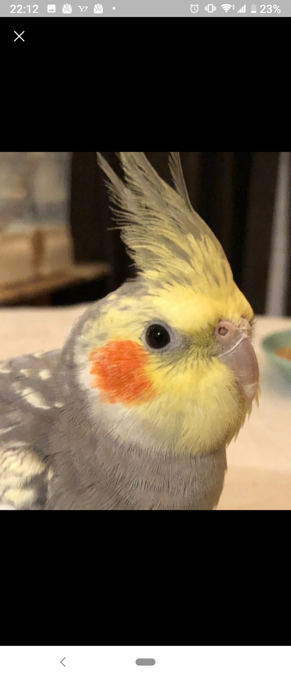 プロフィール画像