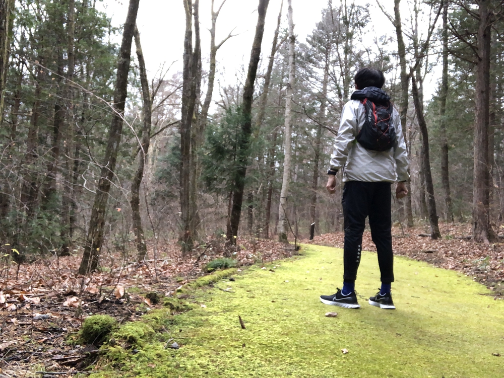 JogTraveler-TakeKasa-