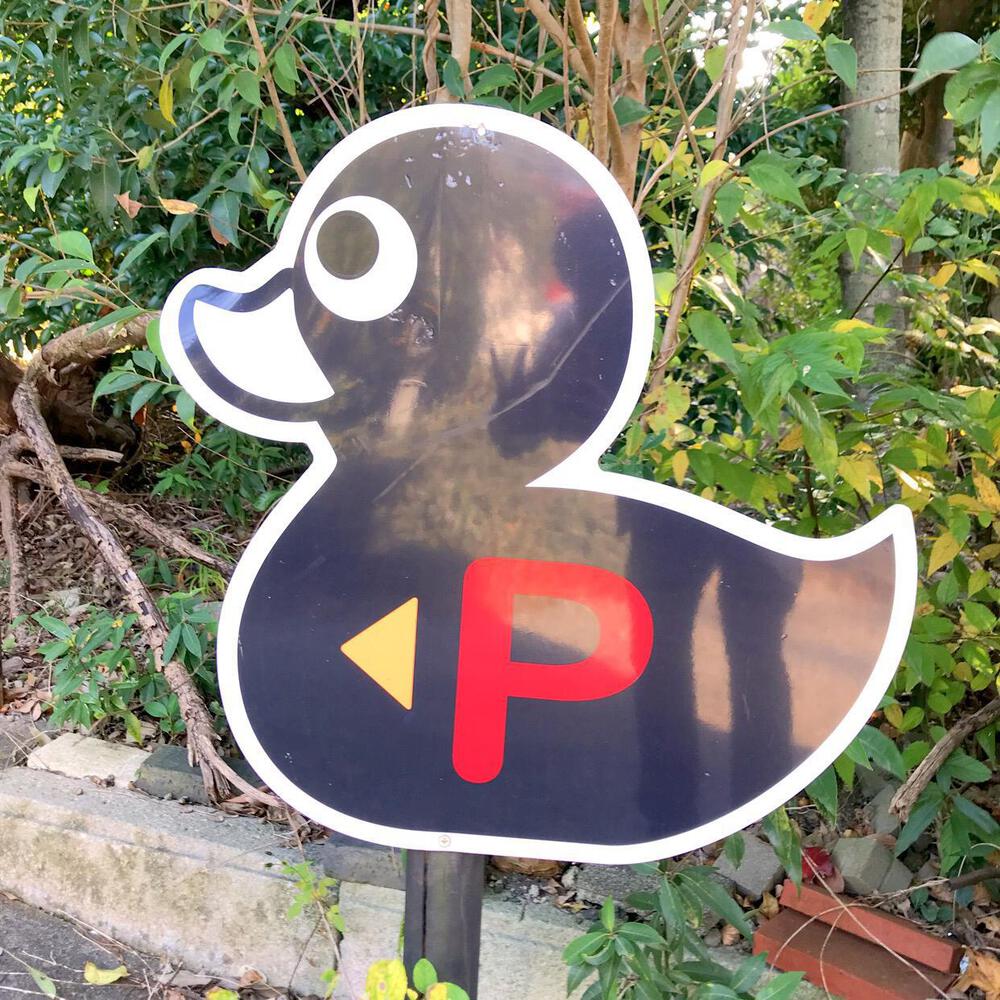 登山と温泉が大好き
