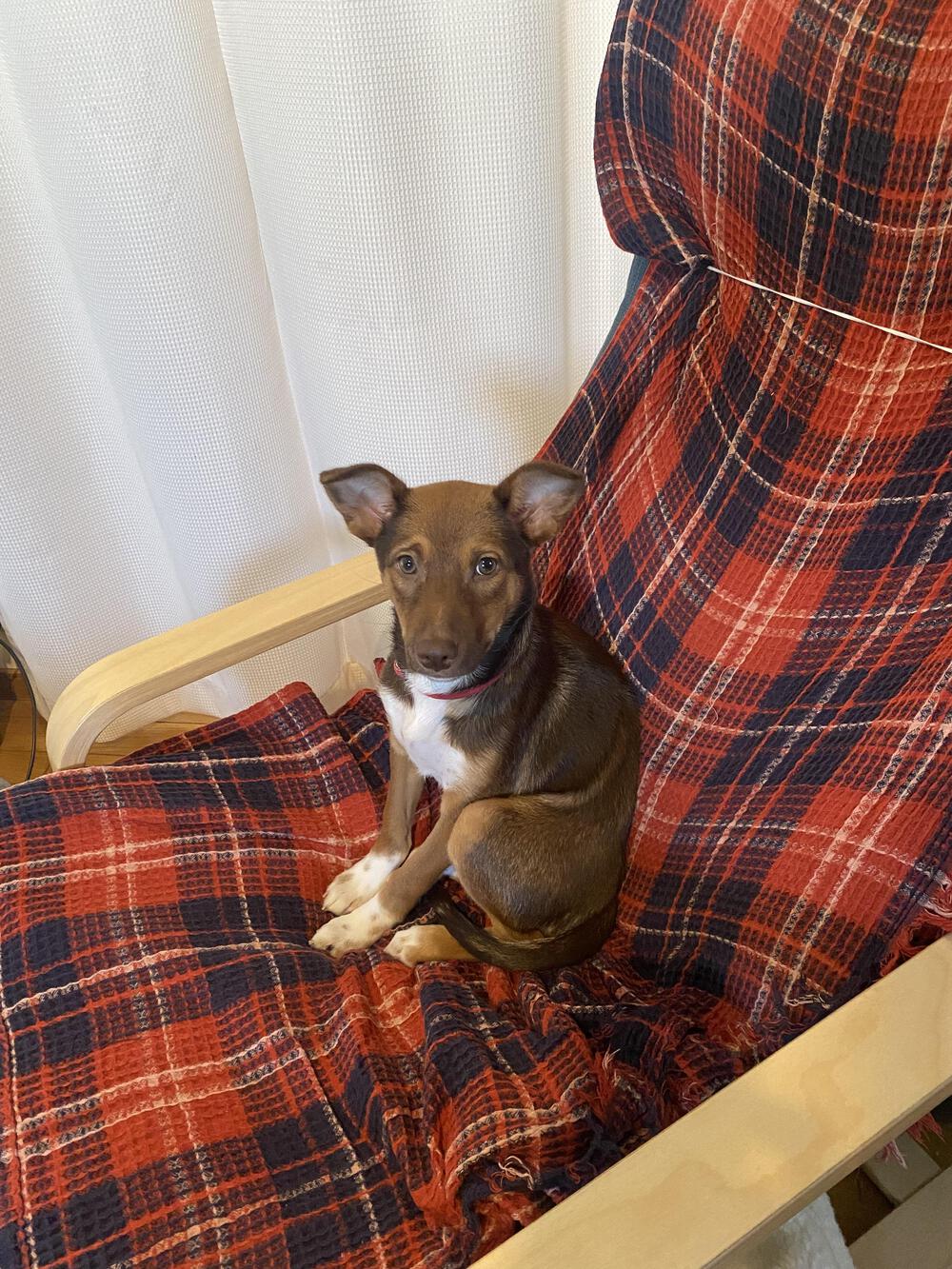 プロフィール画像