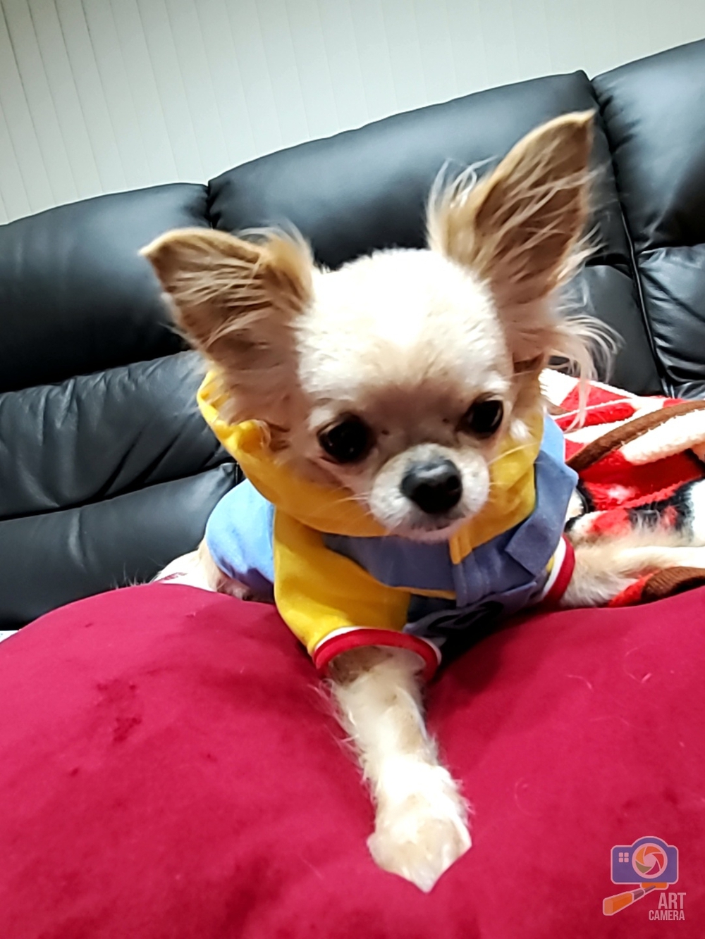 プロフィール画像