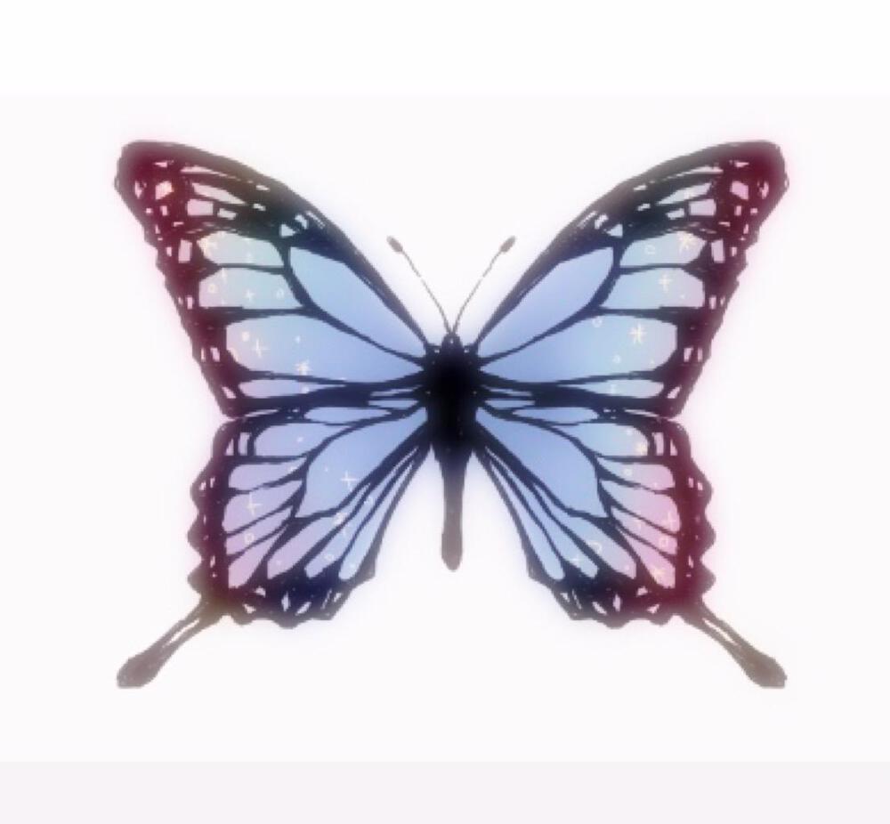 butterfly