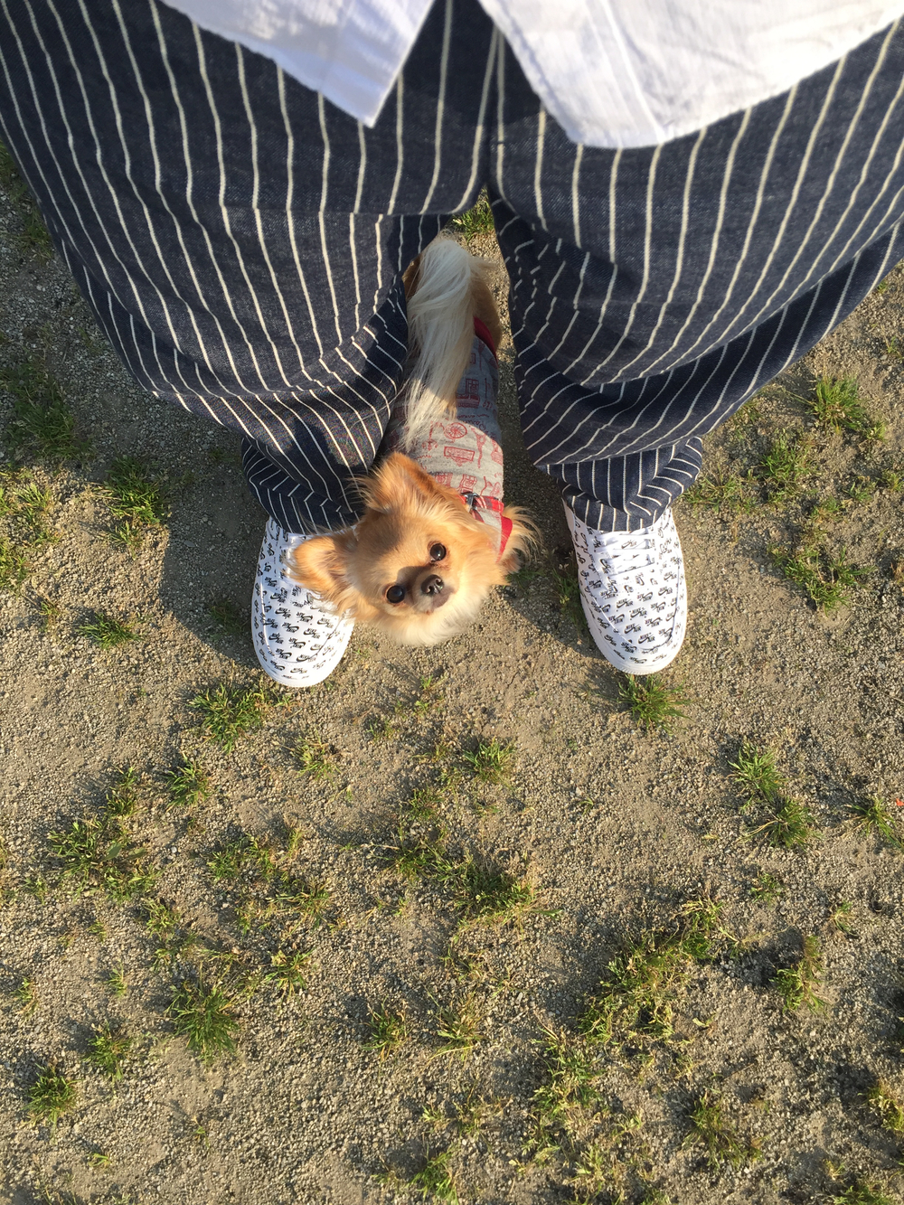 プロフィール画像