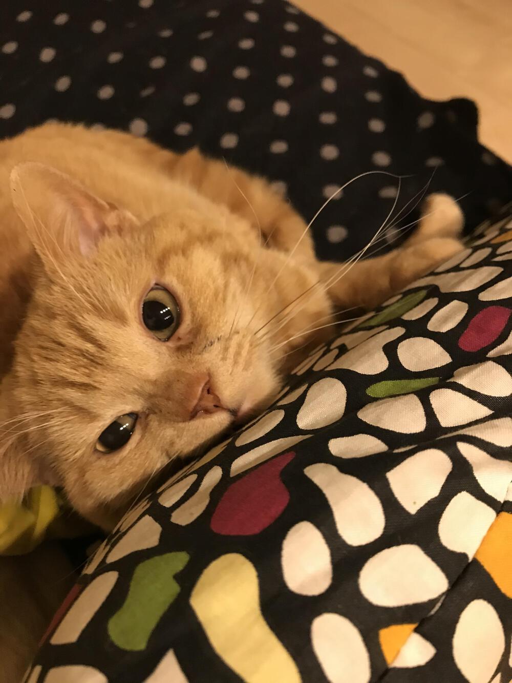 プロフィール画像