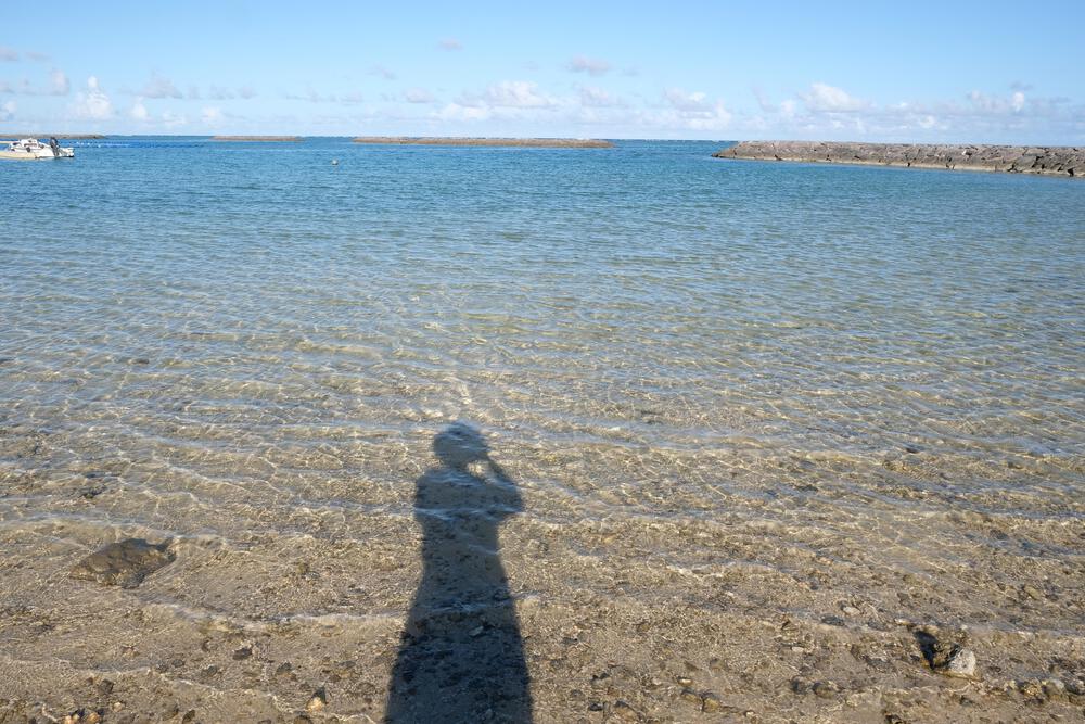 にゃも ฅ( ̳• ·̫ • ̳ฅ)