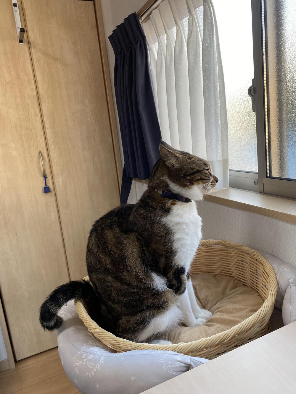 おっつー