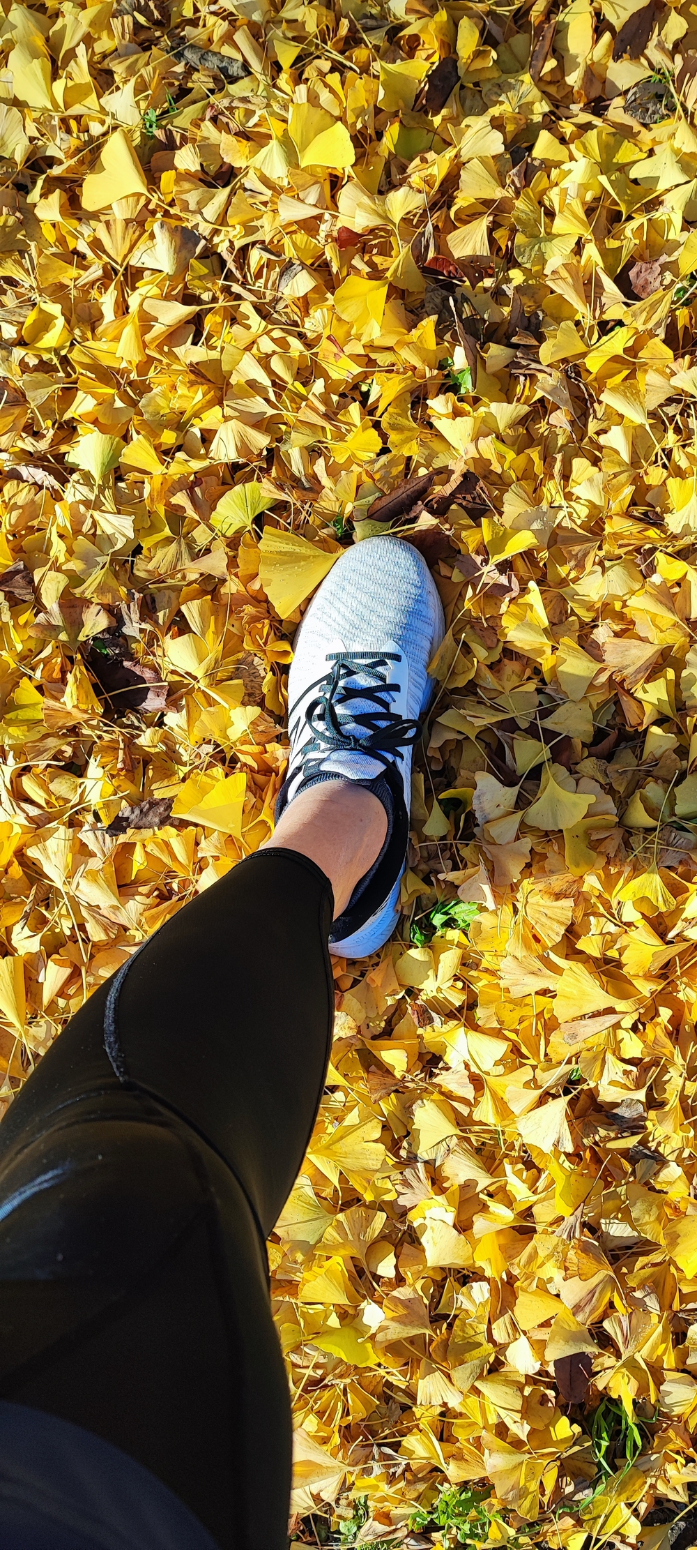 よしさんよしさん