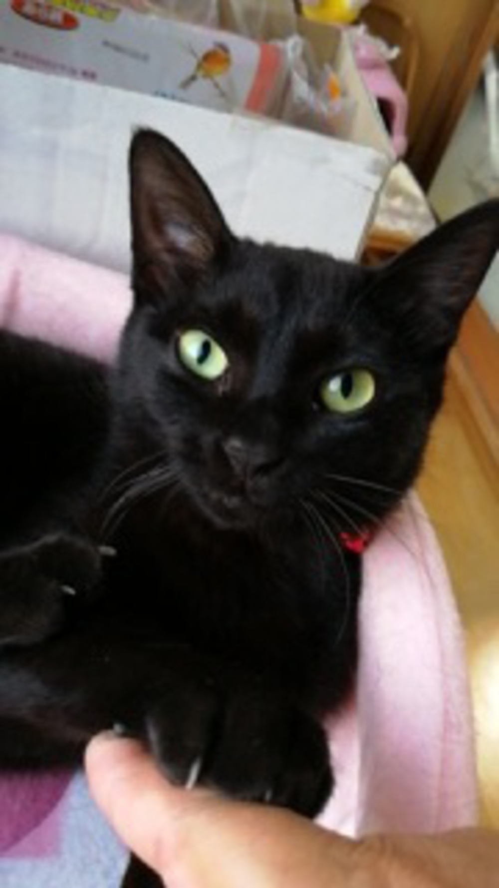 プロフィール画像