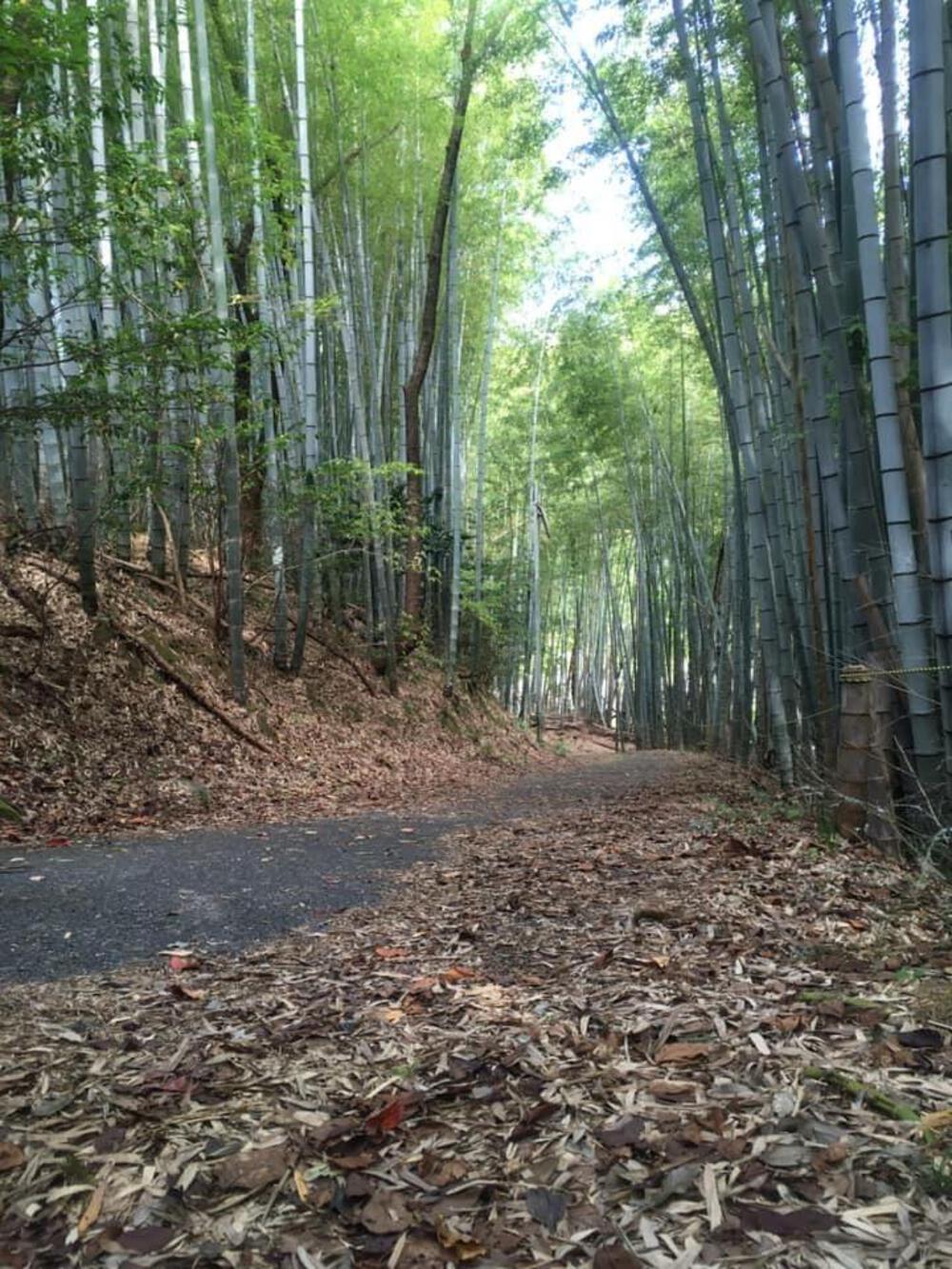 massihona（ﾏｯｼ-）