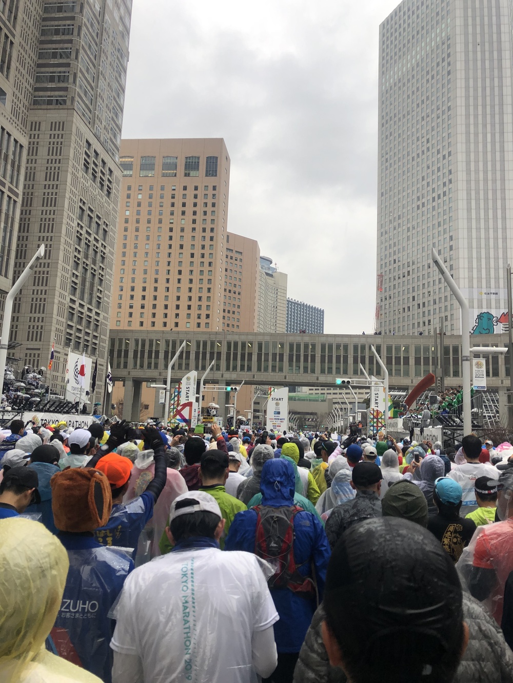 おでかけやまもと