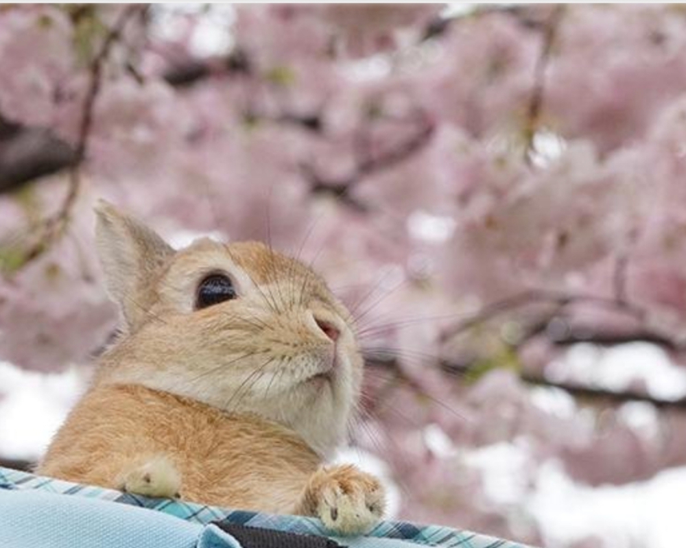 かぁ〜