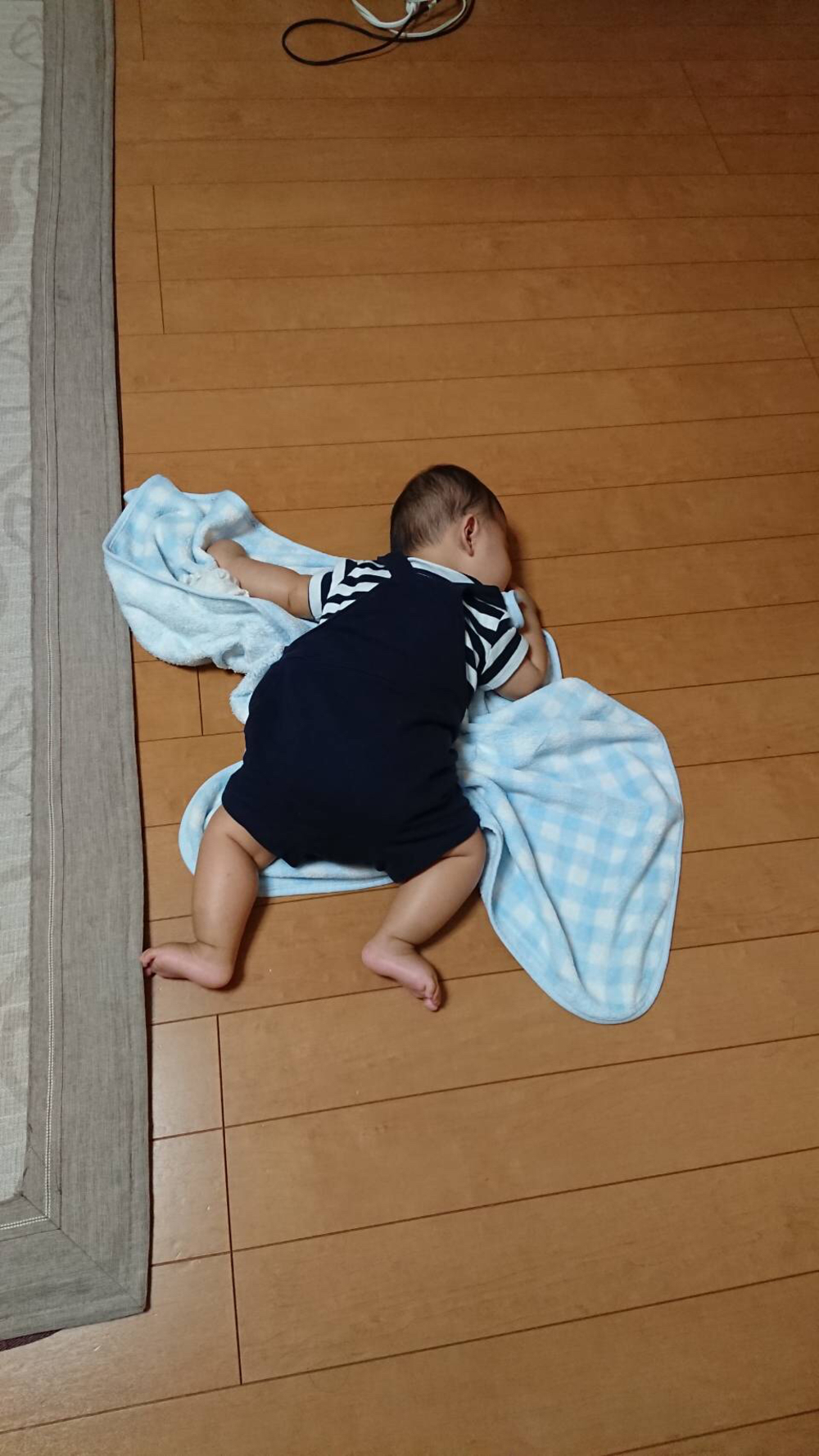 ll_communication@yahoo.co.jp