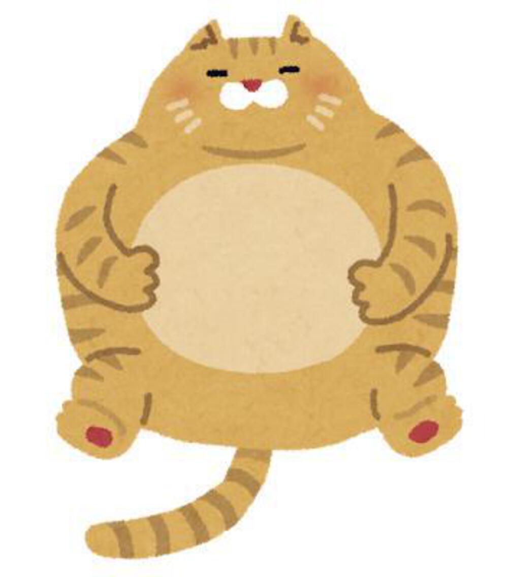 まい:長距離走れるようになりたい