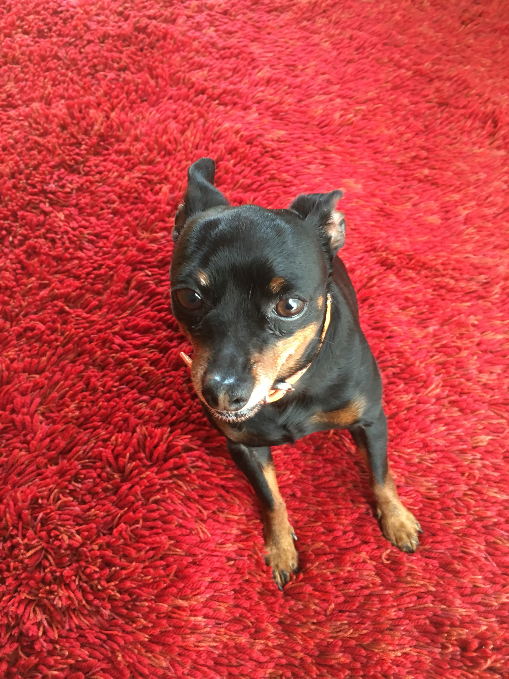 プロフィール画像