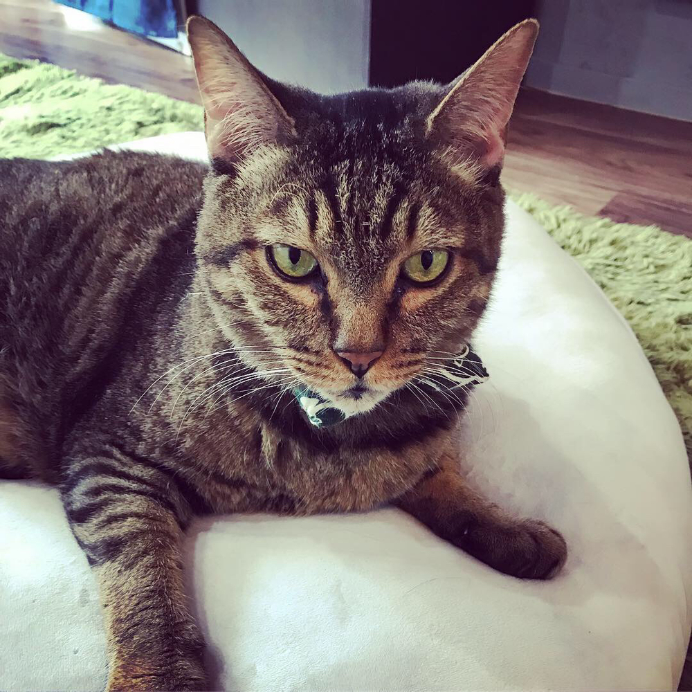 プロフィール画像